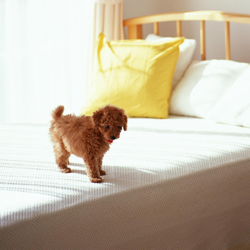 Hd-131977-ascw131977