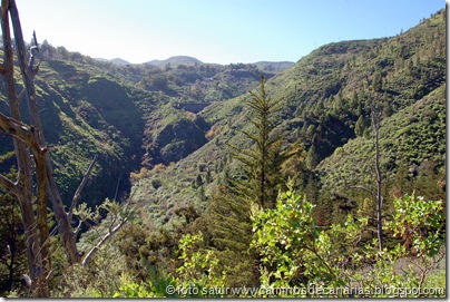 4547 Barranco de Antona 4547 Barranco de Antona