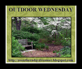 [Outdoor-Wednesday-button_thumb1_thum%255B1%255D.png]