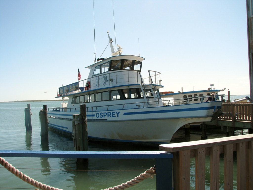 [6841%2520Texas%252C%2520South%2520Padre%2520Island%2520-%2520Pier%252019%2520-%2520Osprey%2520Cruises%2520Sea%2520Life%2520Safari%255B3%255D.jpg]