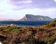 L’Isola Tavolara ospita, oltre ad un faro di segnalazione marittima, una base militare NATO, gestita dalla Marina Militare Italiana.