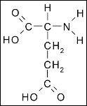L-Glutamic_Acid