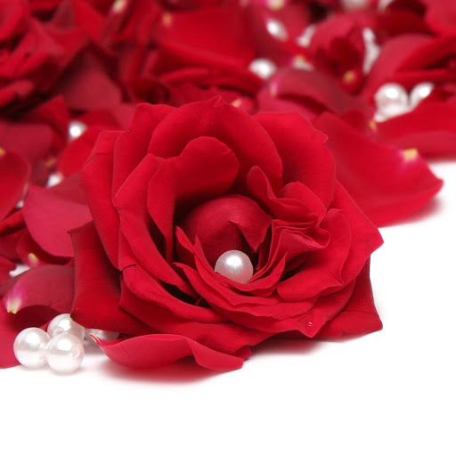 Hd-162980-ascw162980