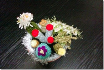 crochet cactus 7
