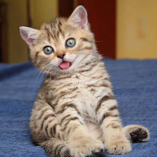 Hd-178177-ascw178177