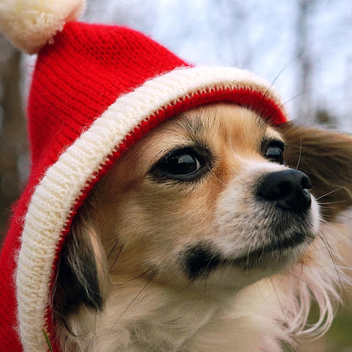 Hd-152714-ascw152714