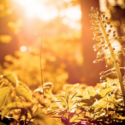 Hd-165014-ascw165014