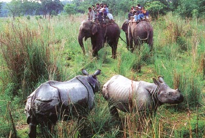 [chitwan4%255B2%255D.jpg]