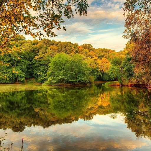 Hd-164329-ascw164329