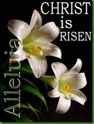 easter-lily-christ-risen-free-photo-clipart1