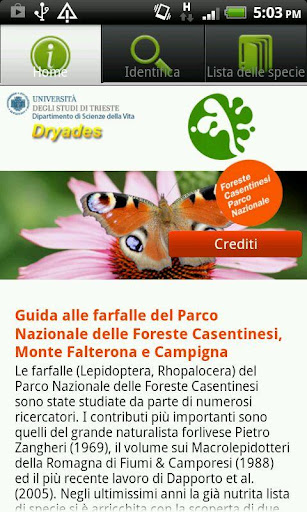 Farfalle Foreste Casentinesi