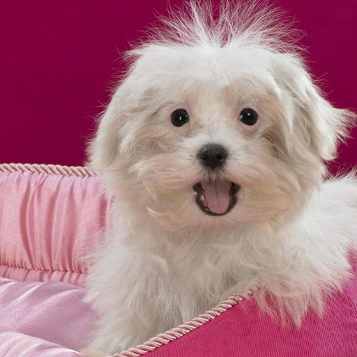 Hd-140447-ascw140447