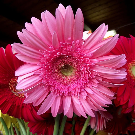 Hd-149156-ascw149156