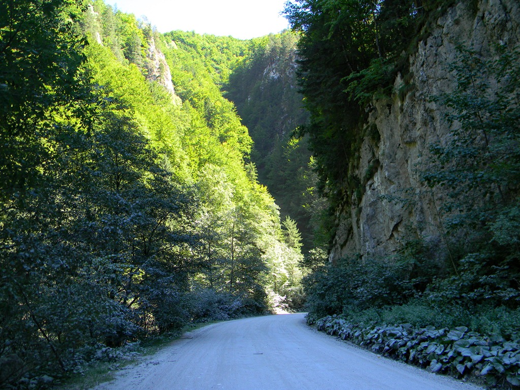 [DSCN18853.jpg]