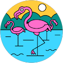 Teresa Evans profile picture