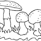 normal_coloriage_maison_champignon_35.jpg