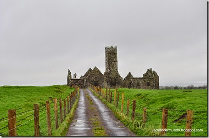 Connemara. Headford. Ruinas del convento Ross Errilly - DSC_0336