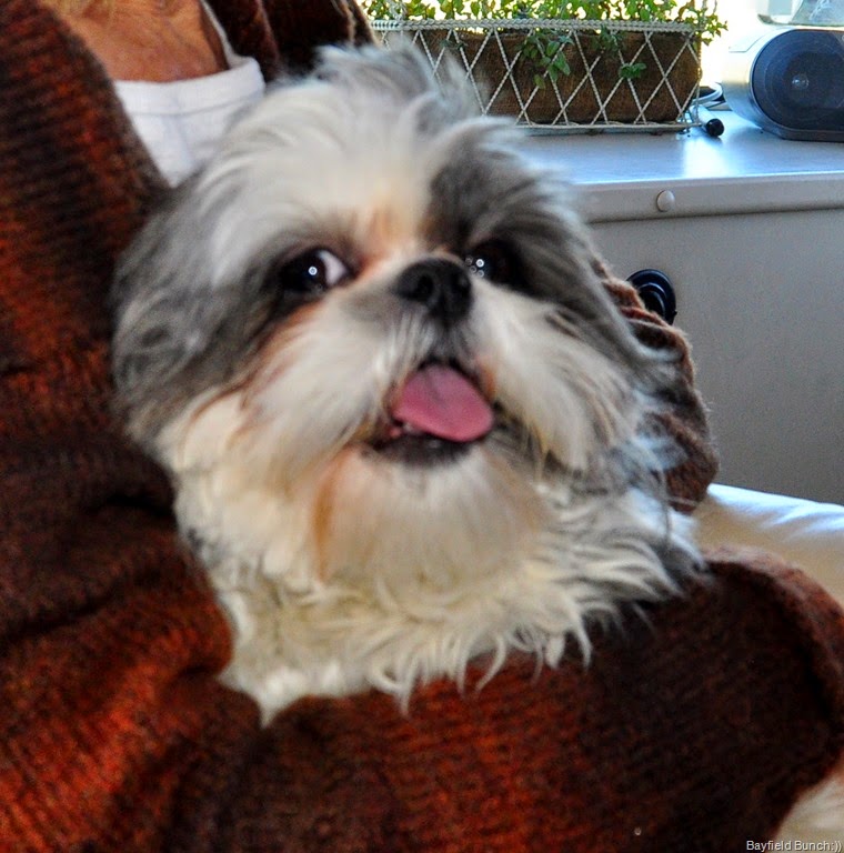 [DSC_0003%255B5%255D.jpg]