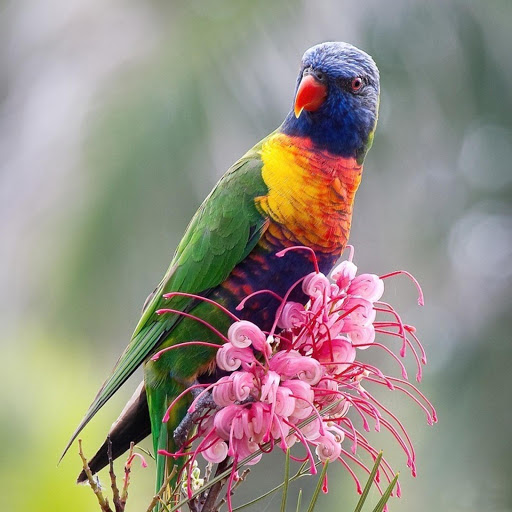 Hd-181174-ascw181174