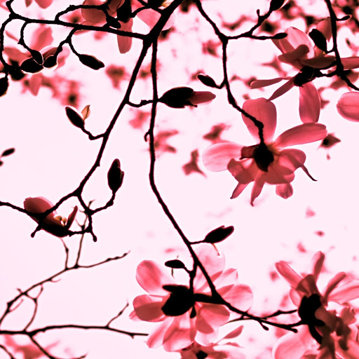 Hd-158976-ascw158976