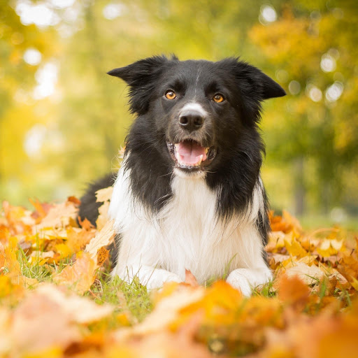 Hd-156850-ascw156850