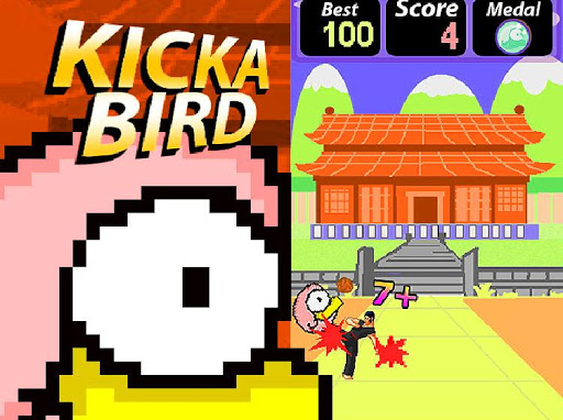 Kick a Bird