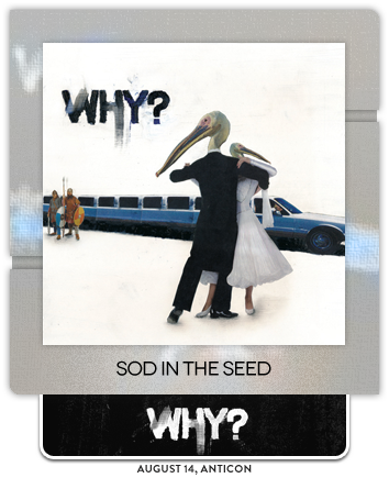 Sod in the Seed by WHY?