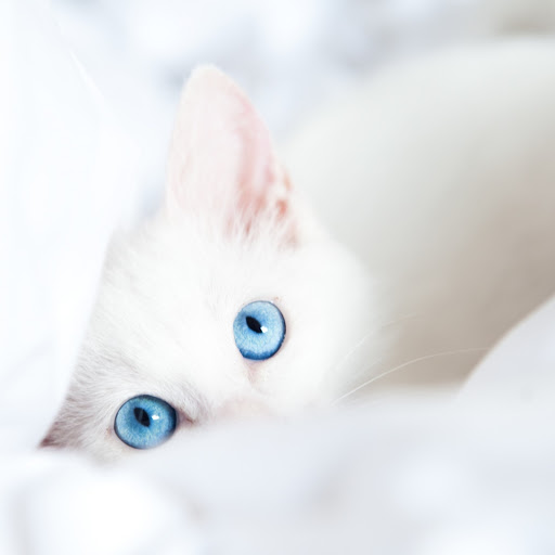 Hd-162383-ascw162383