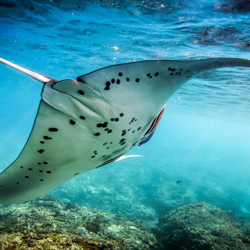 Hd-166968-ascw166968