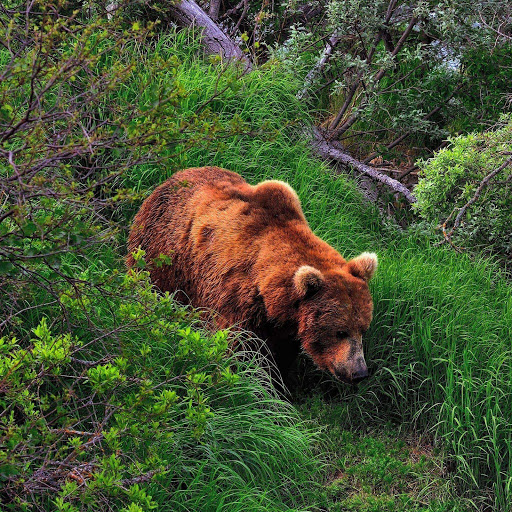 Hd-180570-ascw180570