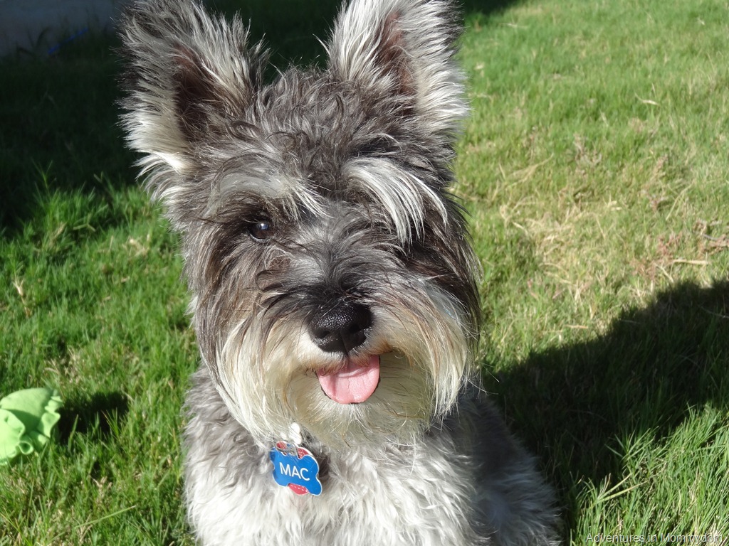 [005%255B4%255D.jpg]