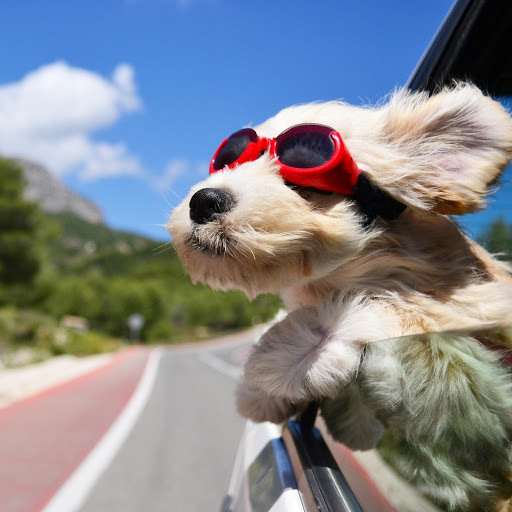 Hd-169556-ascw169556