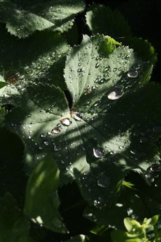 20100623 (8) (Small)