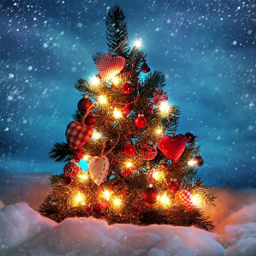 Hd-131998-ascw131998