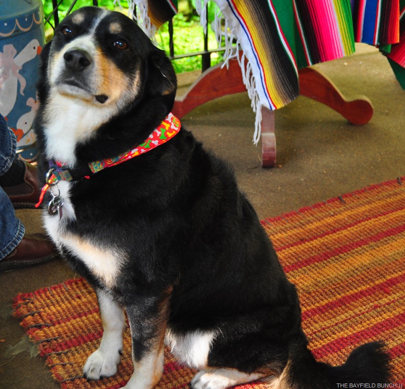 [DSC_0005%255B4%255D.jpg]