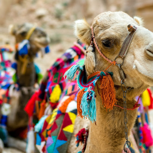 Hd-166969-ascw166969