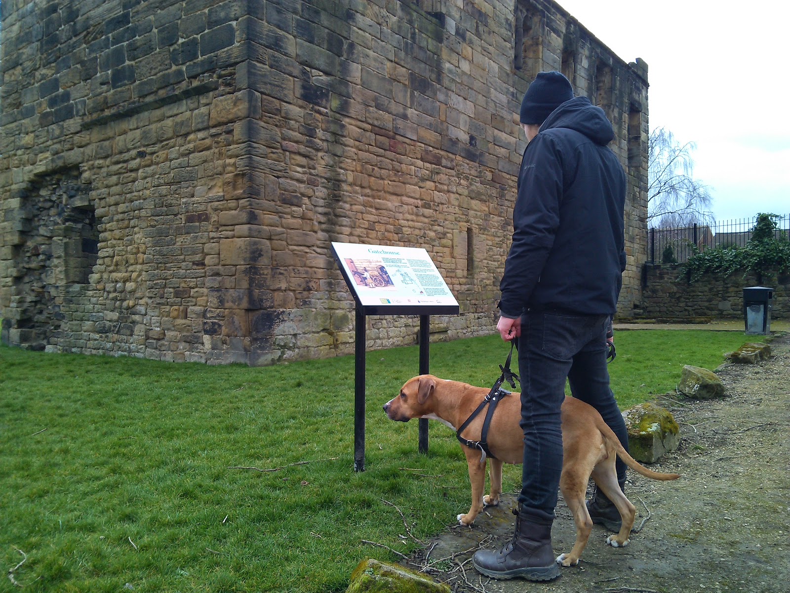 Happy Czacza discovers the world Monk Bretton Priory