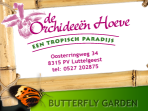 <b>The Orchideeën Hoeve<b><b><b></b></b></b></b>