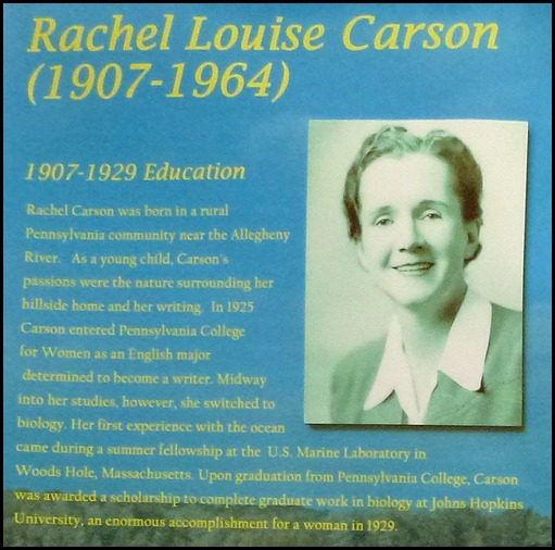 02b2 - Rachel Carson Bio