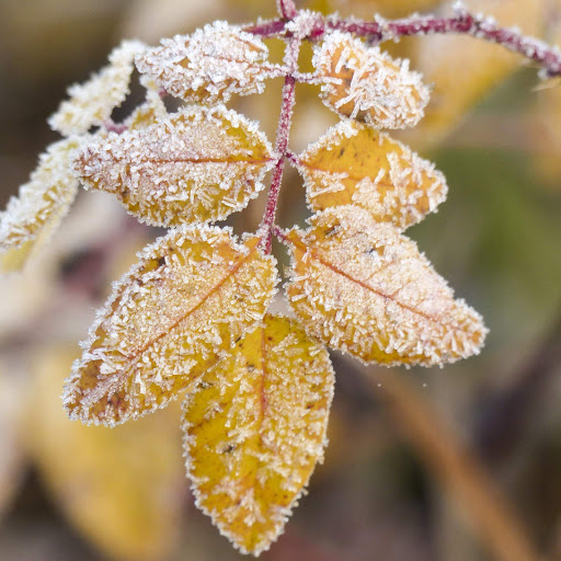 Hd-152563-ascw152563