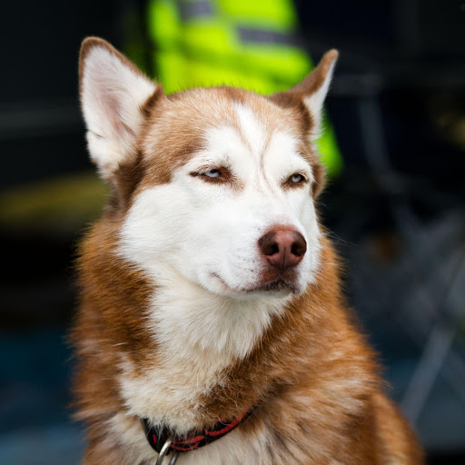 Hd-135893-ascw135893