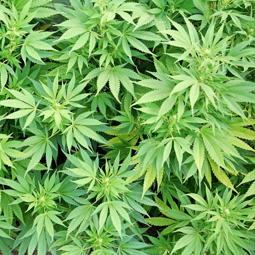 Hd-144726-ascw144726