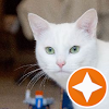 Campbell Jamieson Avatar