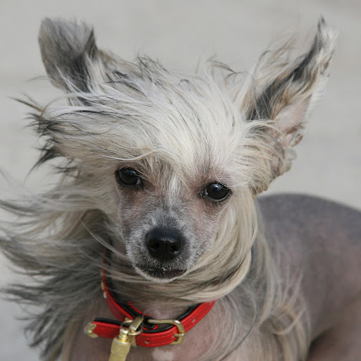 Hd-162398-ascw162398