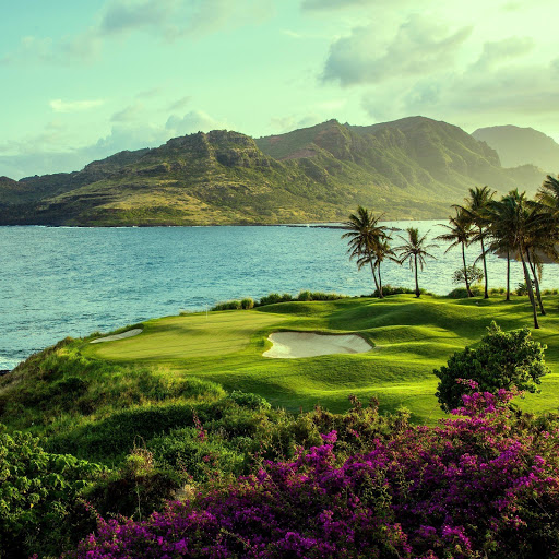 Hd-160006-ascw160006