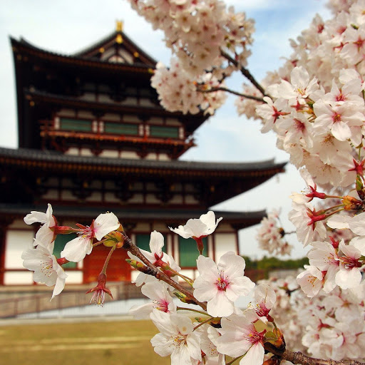 Hd-137713-ascw137713