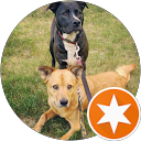 Rachel R. profile picture