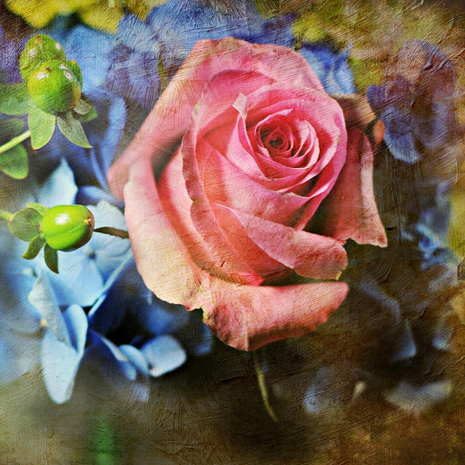 Hd-177296-ascw177296