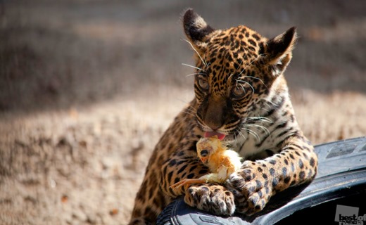 [800%252812%2529%255B4%255D.jpg]