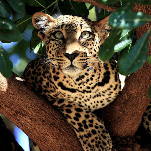 Hd-180634-ascw180634